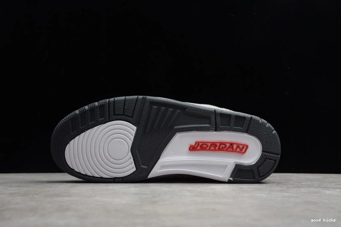 Rep Grey Jordan 3 Cool Retro (2021) CT8532-012 Air 0726